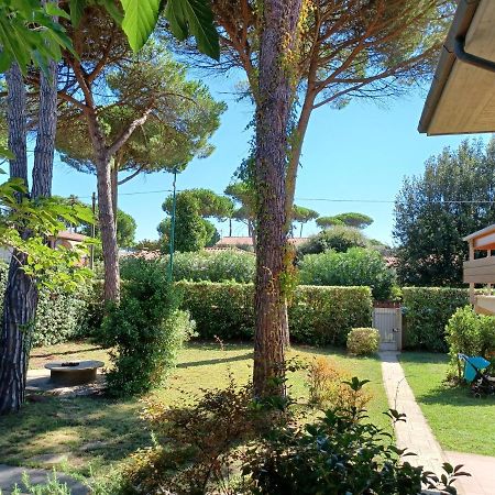 Comfort Zone Tirrenia Exterior foto