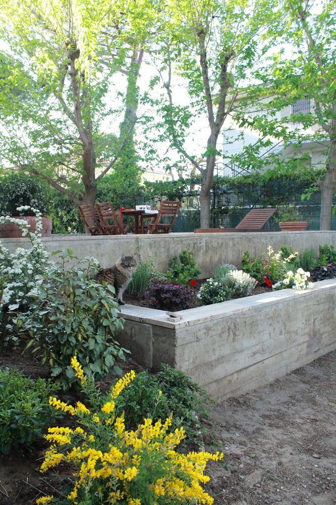 Comfort Zone Tirrenia Exterior foto